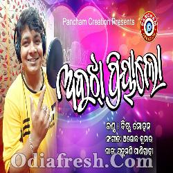 Abujha Priya Lo Mora - Odia Romantic Song